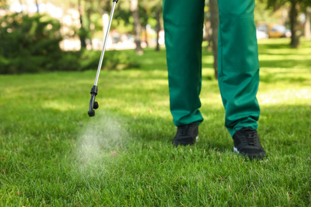 Best Ant Control Services  in Elkader, IA