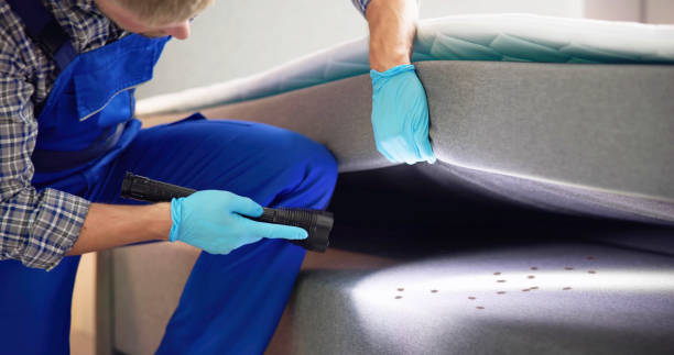 Trusted Elkader, IA Pest Control Experts