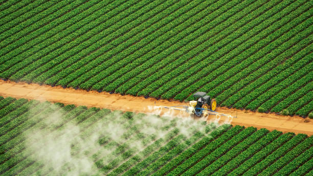 Best Pest Removal Services  in Elkader, IA