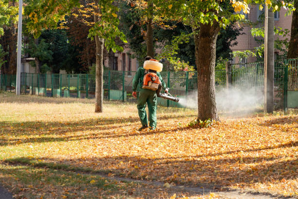 Best Flea Control Services  in Elkader, IA